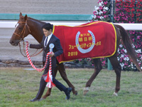 第71回 朝日杯フューチュリティＳ（ＧＩ）　表彰式（優勝馬着）
