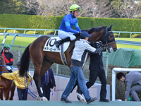 未勝利　本馬場入場