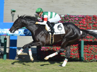 新馬　ゴール前