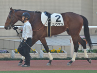新馬　パドック