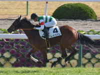 新馬　ゴール前