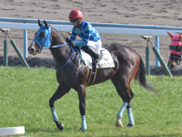 未勝利　レース後