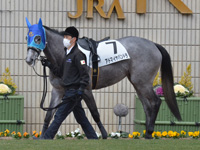 新馬　パドック