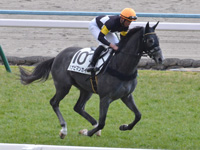 未勝利　キャンター