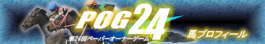 馬プロフィール