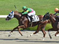 阪神1R　未勝利　タガノキトピロ