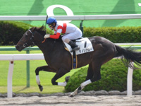 京都4R　新馬 ダノンアレー