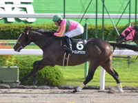 京都8R　なでしこ賞（1勝クラス）