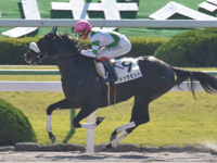 京都2R　未勝利　ドゥラモット