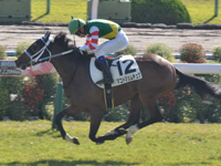 京都3R　未勝利　マコトジェムチュク