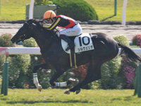 京都4R　未勝利　シルヴェリオ