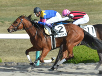 阪神1R　未勝利（牝）　サウンドワイズ