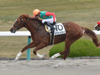 阪神2R　未勝利　シゲルカセイ