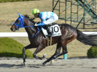 阪神1R　未勝利　テンセキセンセキ