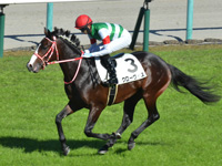 未勝利　キャンター