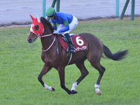 第55回 デイリー杯２歳ステークス（ＧII）　キャンター