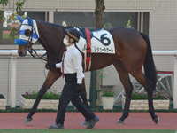 未勝利　パドック