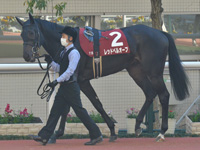 第55回 デイリー杯２歳ステークス（ＧII）　パドック