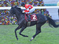 第55回 デイリー杯２歳ステークス（ＧII）　キャンター
