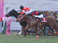 第55回 デイリー杯２歳ステークス（ＧII）　直線（内1着）