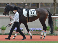 未勝利　パドック