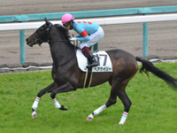 未勝利　キャンター