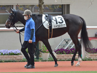 未勝利　パドック