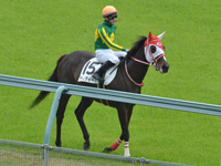 未勝利　レース後