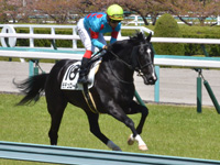 未勝利　キャンター