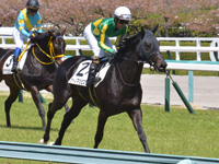 未勝利　キャンター
