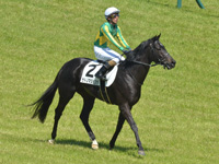 未勝利　レース後