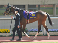 第81回 桜花賞（ＧＩ）　パドック