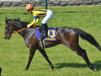 第81回 桜花賞（ＧＩ）　本馬場入場