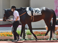 1勝クラス　パドック