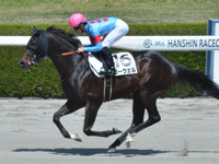 1勝クラス　キャンター