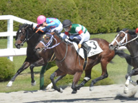 1勝クラス　直線（内・3着）