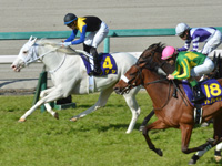第81回 桜花賞（ＧＩ）　ゴール前（外2着）