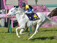 第81回 桜花賞（ＧＩ）　ゴール前