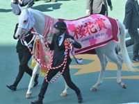 第81回 桜花賞（ＧＩ）　表彰式