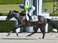 阪神2R　未勝利　サトノテンペスト