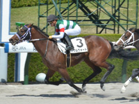 阪神6R　1勝クラス　フルヴォート