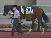 新馬　パドック