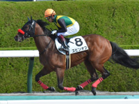 未勝利（牝）　キャンター