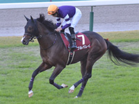 第56回 デイリー杯2歳ステークス（ＧII）　キャンター