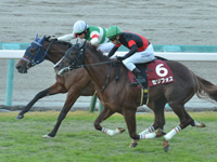 第56回 デイリー杯2歳ステークス（ＧII）　直線（内2着）