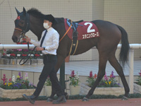 第56回 デイリー杯2歳ステークス（ＧII）　パドック