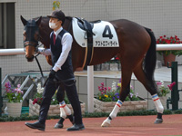 新馬（牝）　パドック