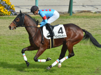 新馬（牝）　キャンター