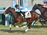 新馬（牝）　ゴール前