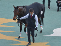 新馬（牝）　口取り